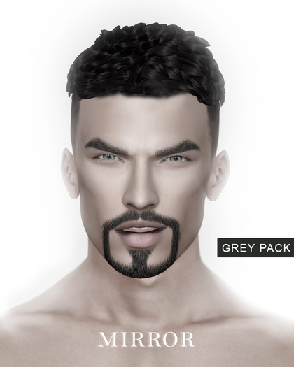 MIRROR - Rick Hair -Grey Pack- 
