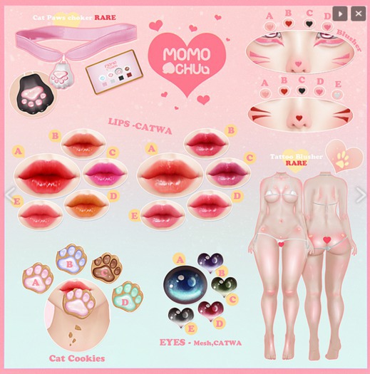 :: MOMOCHUU :: MIAOU - Blusher B-E [CATWA]