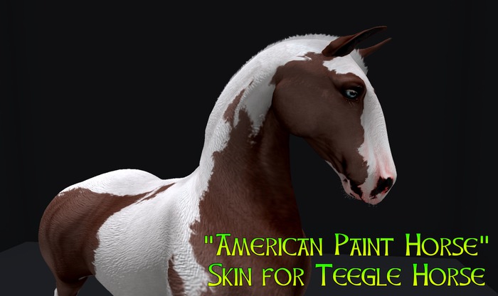 skin for Teegle Horse "American Paint Horse"