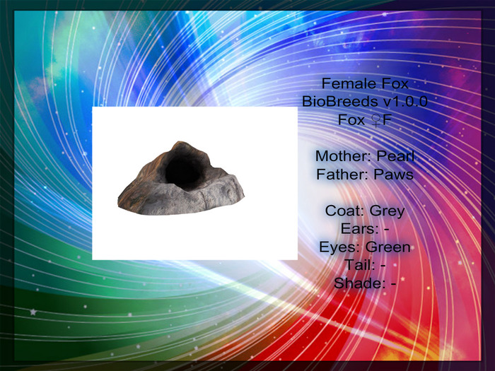 BB Fox Box-Female