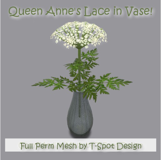 T-Spot Queen Anne's Lace in Glass Vase - Copy/Modify - LI=2