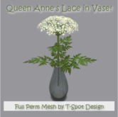 T-Spot Queen Anne's Lace in Glass Vase - Copy/Modify - LI=2