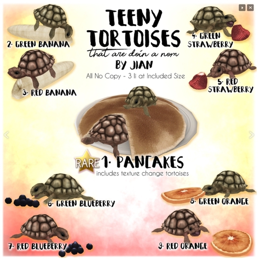 JIAN Teeny Tortoises 6. Green Blueberry BOX