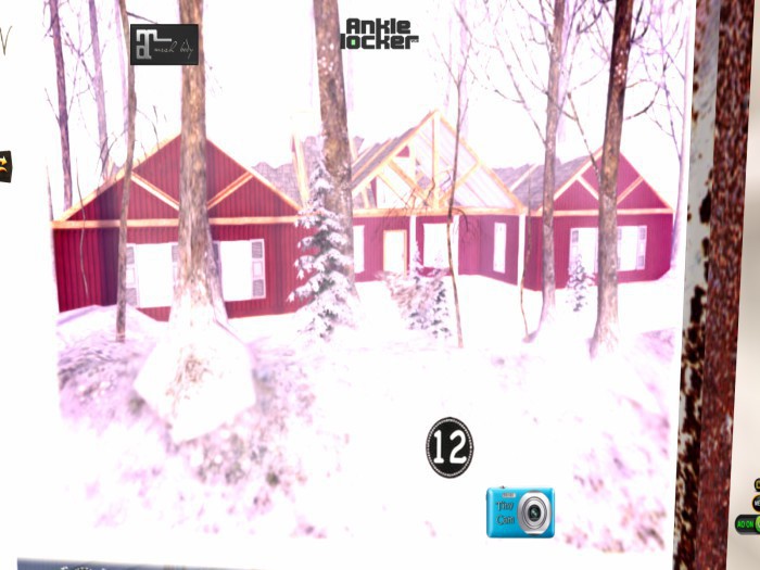 ~ASW~ The Falun Winter House RARE
