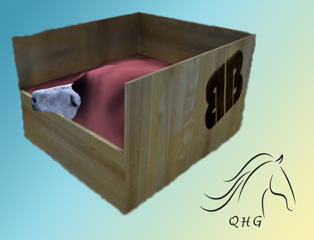 BB Horse Box
