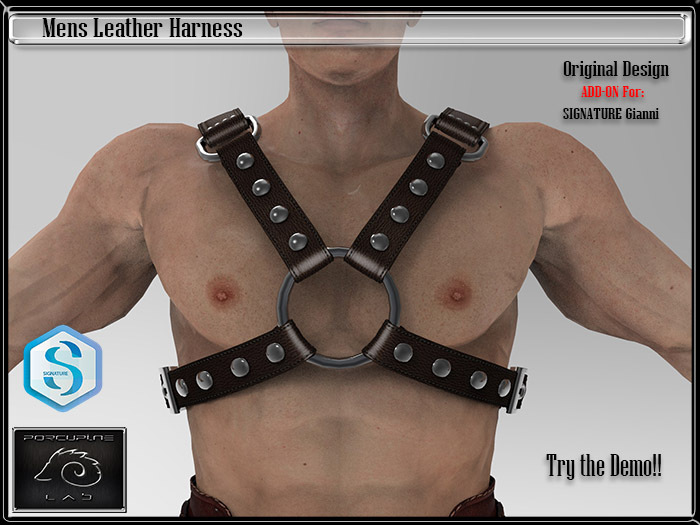 [PL] - Full Perm - Mens Leather Harness