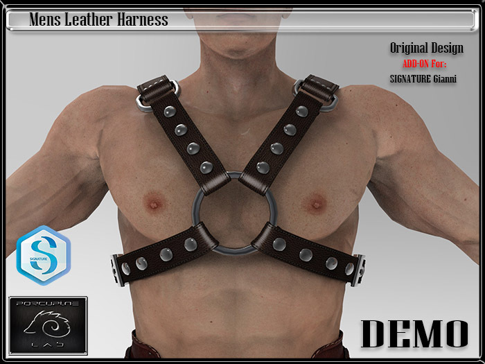 [PL] - DEMO -  Mens Leather Harness