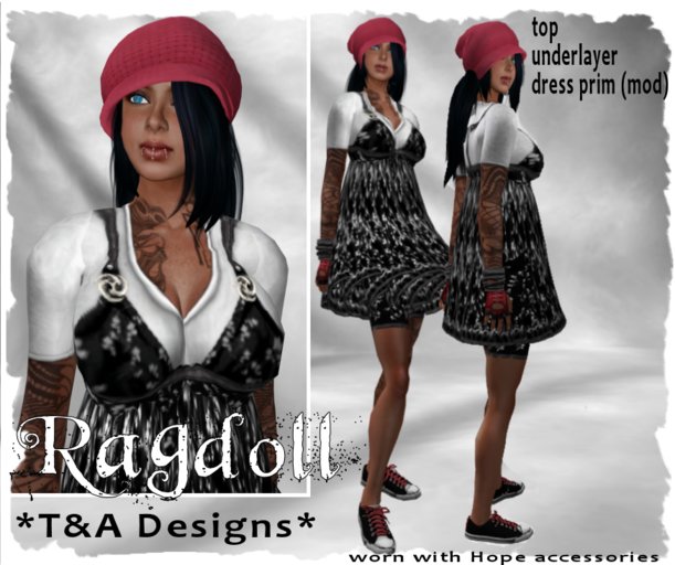 *T&A Designs* Ragdoll  *TD*