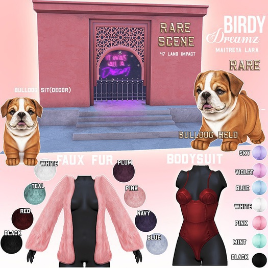 Birdy -  Dreamz - Scene RARE