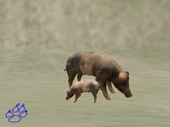 two pigs - deux cochons - pack