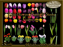 Tulip Collection Alpha Textures