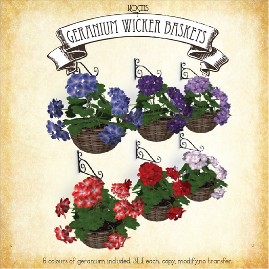 [noctis] Geranium Wicker hanging baskets  BOXED