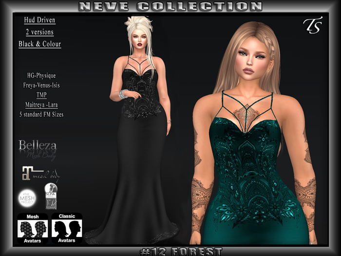 TS-Neve-Collection-#12-Forest