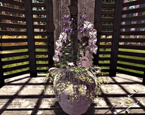 CJ Easter Planter with Orchids Box