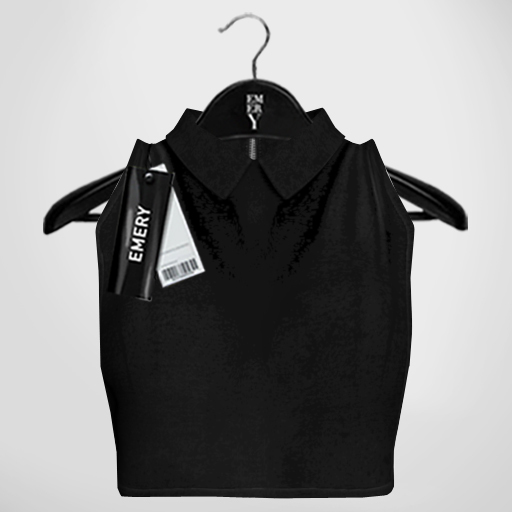Emery Reedus Crop Top Black
