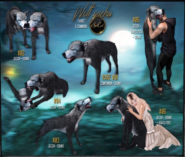 ... SpotCat ... Wolf #02