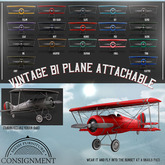 [Con.] Vintage BiPlanes - Sky