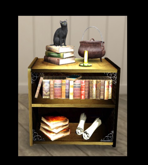 HHVET Victoriana - Occult Style Bookshelf