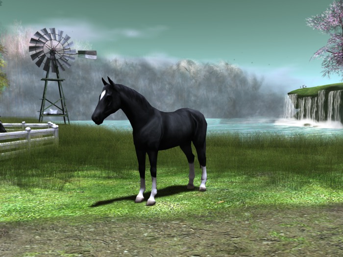 HORSE #2