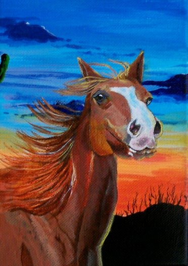 Arizona Horse
