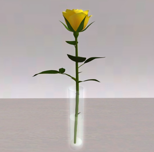 Yellow Rose in Glass Vase