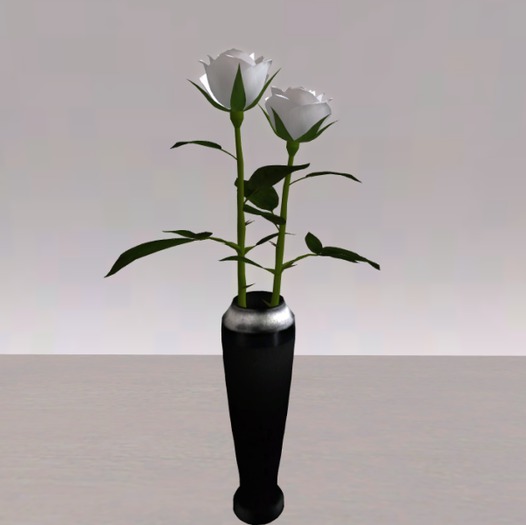 White Roses in Black Vase
