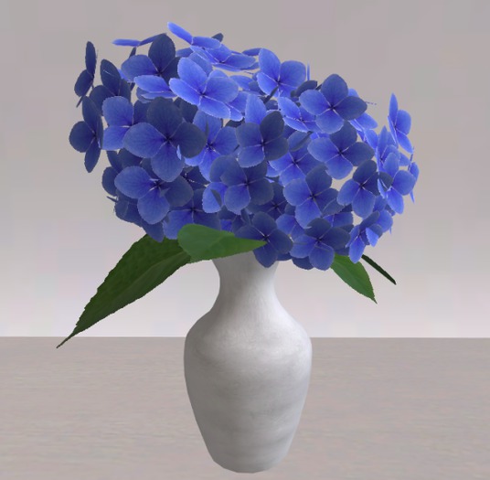 Blue Hydrangea in Vase