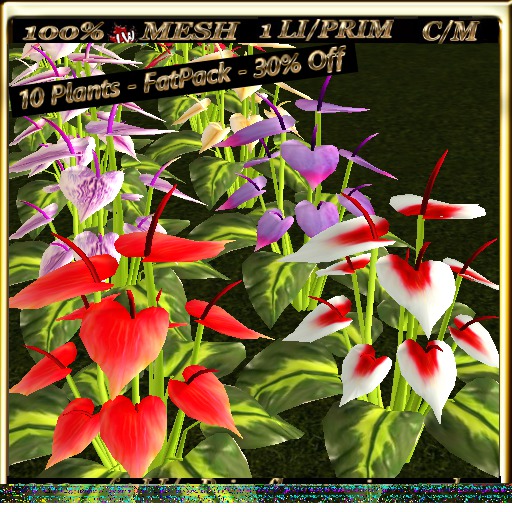 LW_ Ground Anthuriums - Wedding Collection - FatPack - 30% Off
