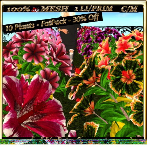 LW_Mesh Hibiscus Tree - Colorful Collection 3 - FatPack 30% Off