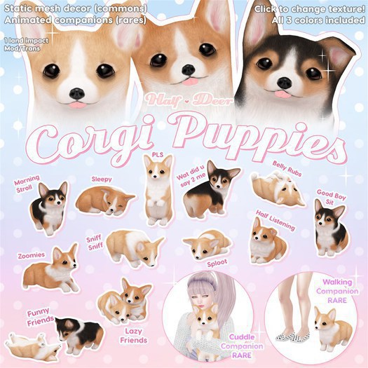 +Half-Deer+ Corgi Puppy - PLS