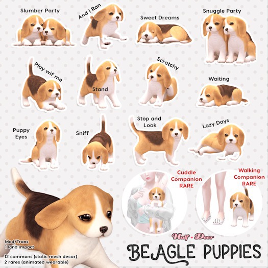 +Half-Deer+ Beagle Puppy - Stand