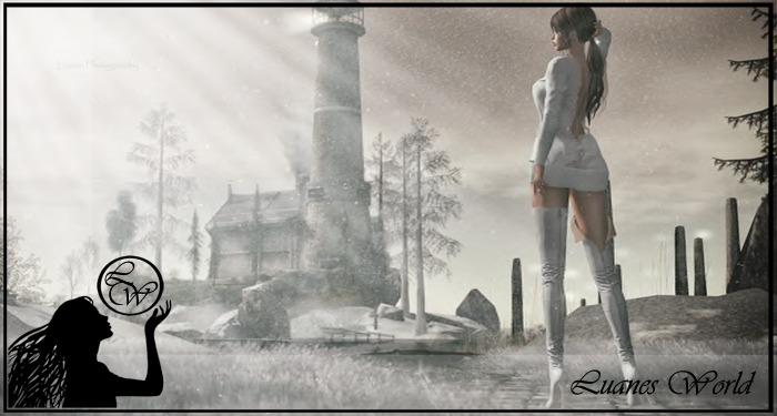 :LW: BENTO Poses - Rebirth BOXED