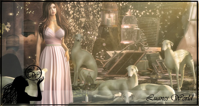 :LW: BENTO Poses - Save Myself