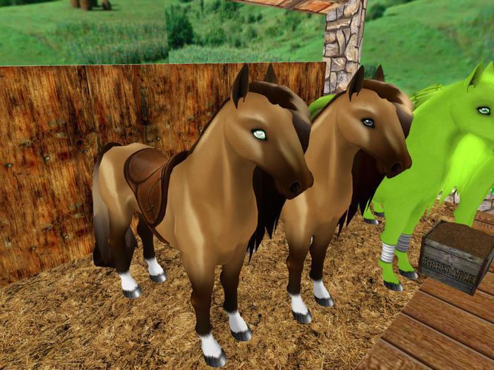 Second Life Marketplace - Amaretto Breedables Bundle-Akhal-Teke Honey