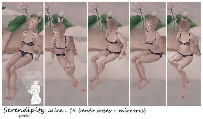 Serendipity: alice...  (bento)