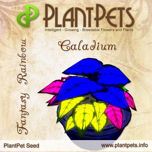 PlantPet Seed [Caladium *Fantasy Rainbow*] limited (Updated!)