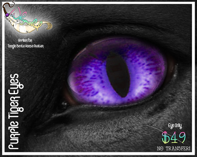 Teegle/Teeglepet - Eye Appliers - Tiger Purple
