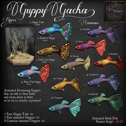 1. *HEXtraordinary* Guppy Tank - RARE