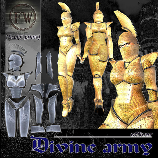 Divine Army Gold armor "Officer"