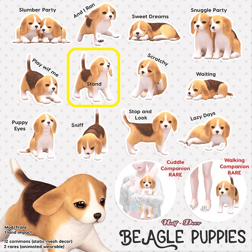 +Half-Deer+ Beagle Puppy - Stand