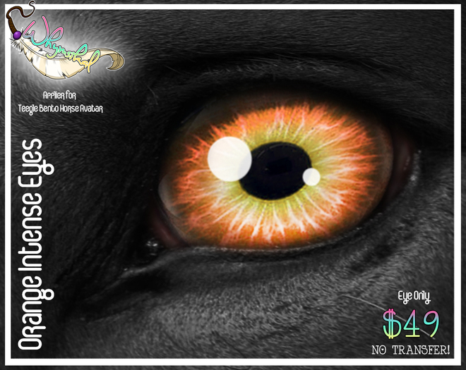 Teegle/Teeglepet - Eye Appliers - Intense Yellow