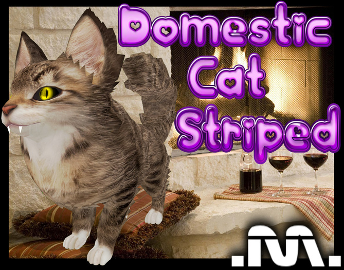 .M. Domestic Cat mod striped