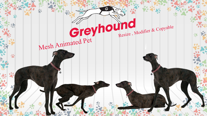 G&T Greyhound Mesh Animated Dog