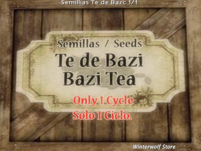 Bazi Tea Seeds G&S (only 1 cicle), 3 boxes