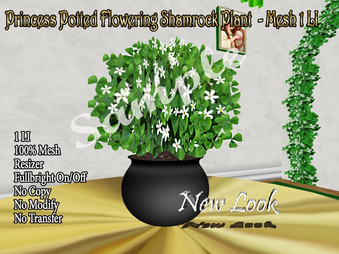 Princess Potted Flowering Shamrock Plant 1LI Bxd