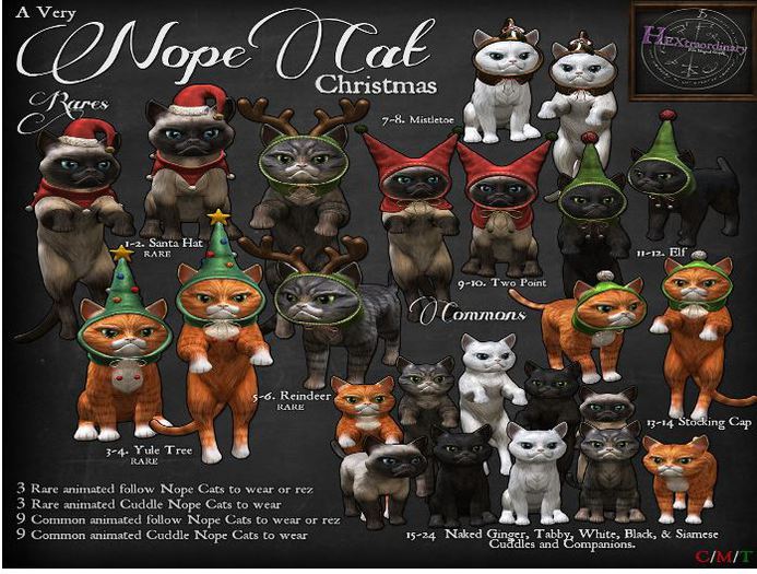 24. *HEXtraordinary* Nope Cat - Siamese Cuddle