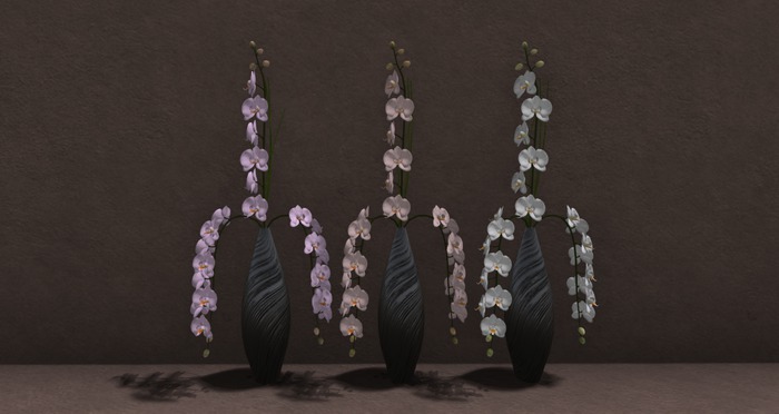 Sinsations_Orchids_BlackVaseTexChange(boxed)