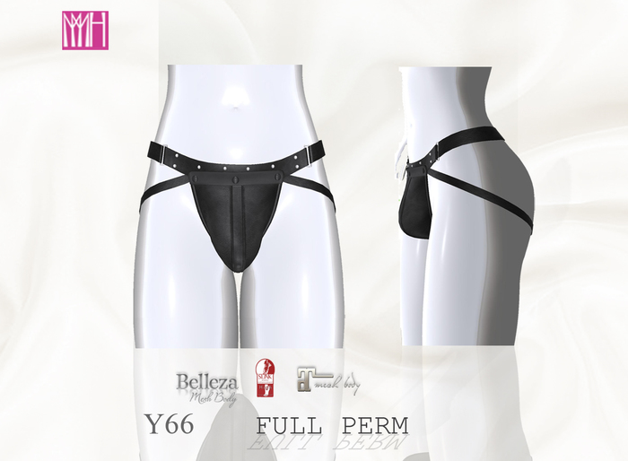 [Y]Full Perm 66