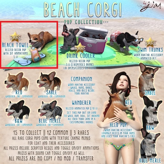 JIAN Beach Corgis BOX :: Beach Towel RARE