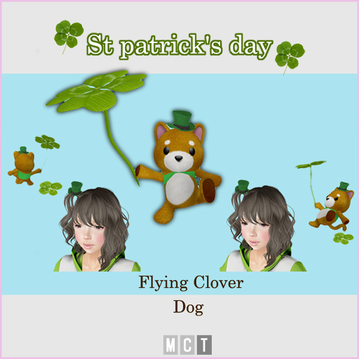 ITOH CLINIC+Clover Shiba Inu (wear)